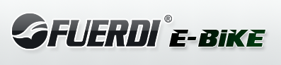 FUERDI